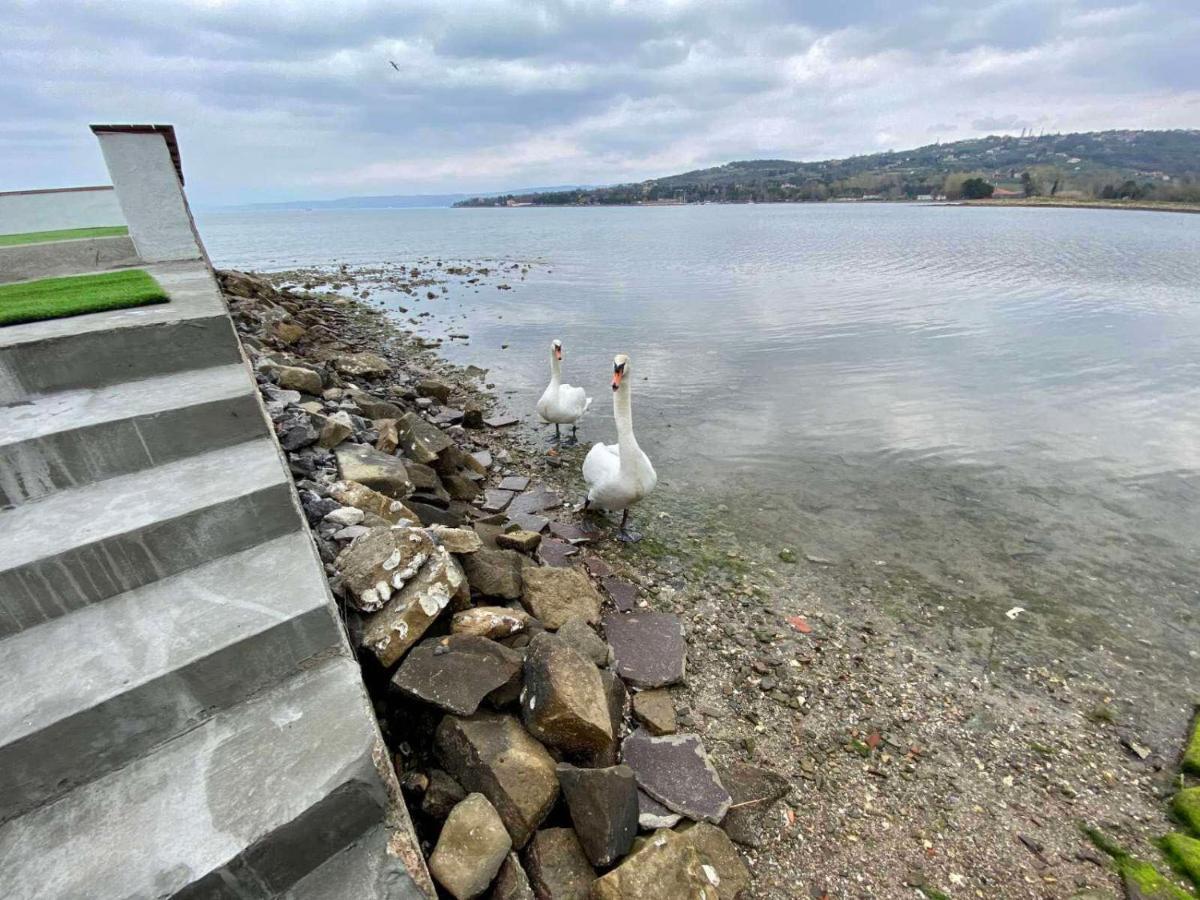 Villa Olga - Uniqe House With Private Beach Ankaran Dış mekan fotoğraf